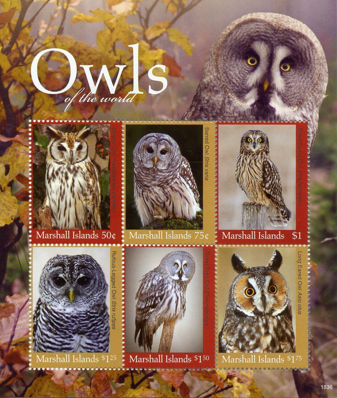 Marshall Islands 2018 MNH Birds on Stamps Owls of World Barred Striped Owl 6v M/S