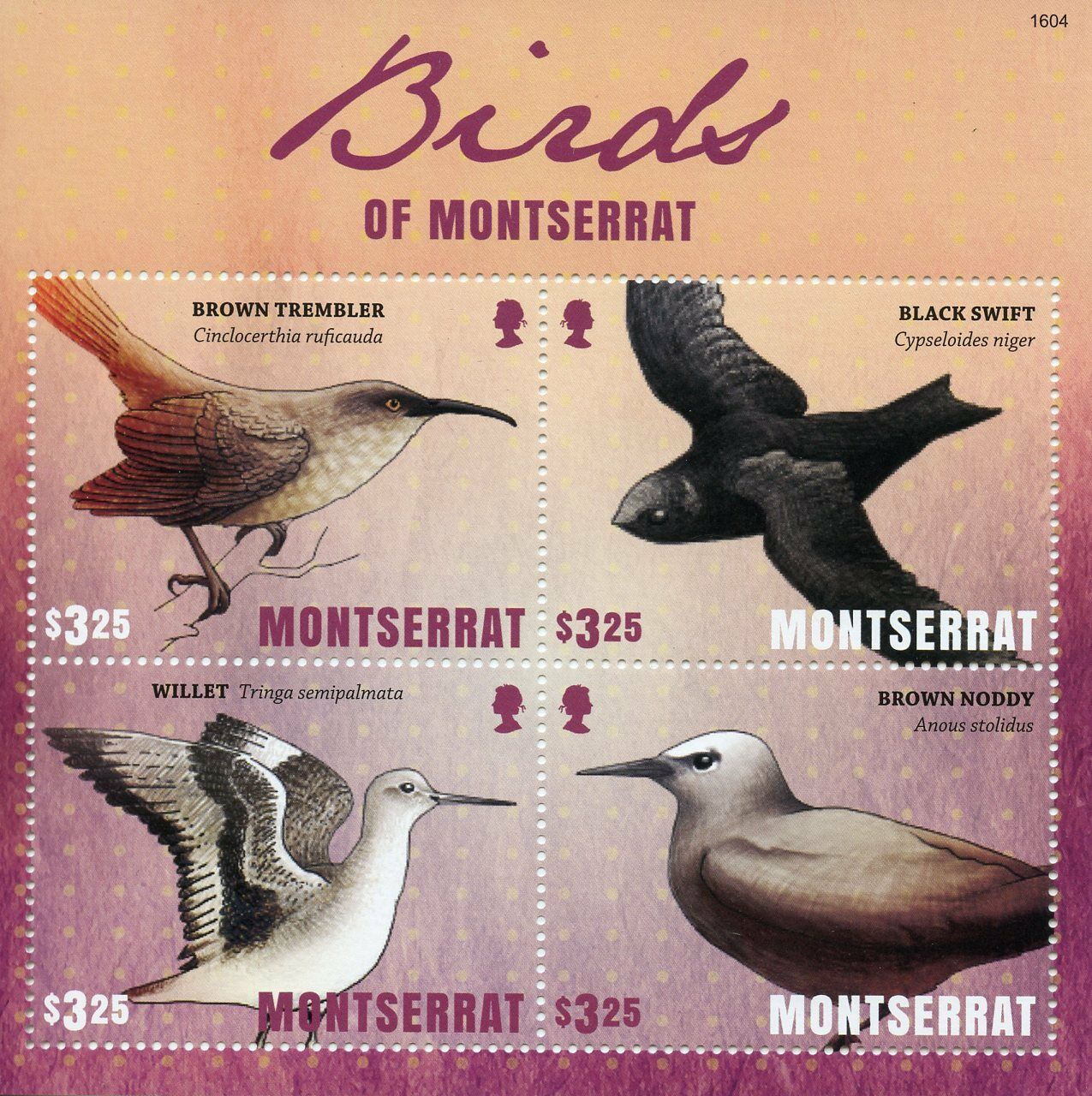 Montserrat 2016 MNH Birds of Montserrat Stamps Swifts Willet Brown Noddy 4v M/S