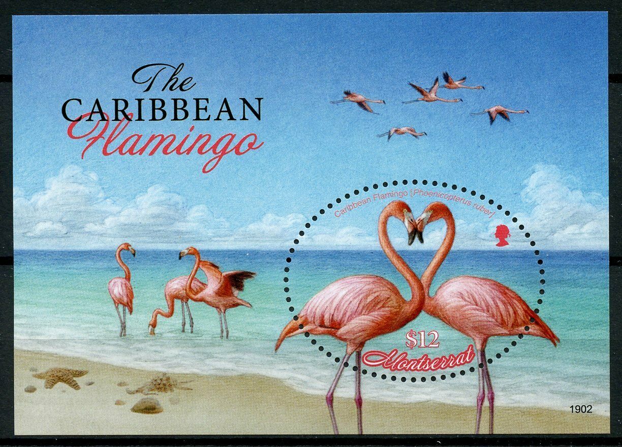 Montserrat 2019 MNH Birds on Stamps Caribbean Flamingo Flamingos 1v S/S