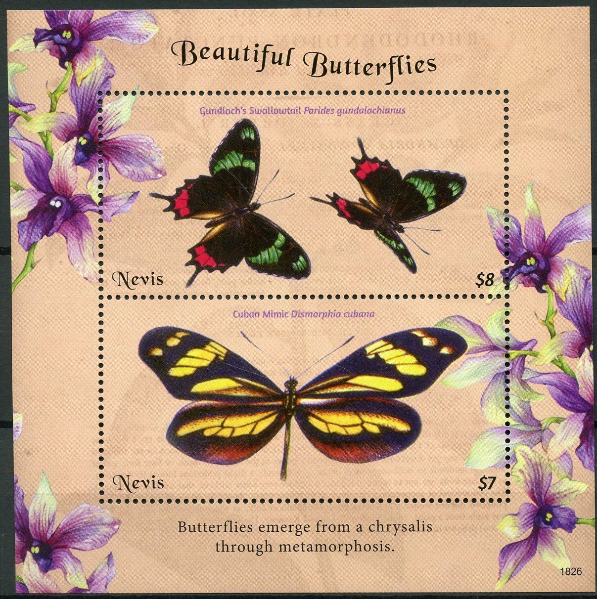 Nevis 2018 MNH Butterfly Stamps Beautiful Butterflies Swallowtail Mimic 2v S/S