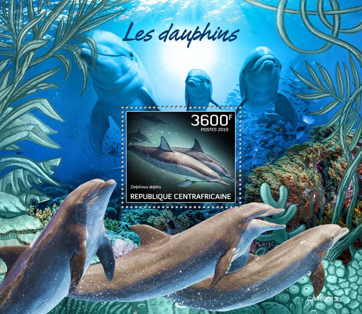 Central African Rep 2019 MNH Marine Animals Stamps Dolphins Common Dolphin 1v SS