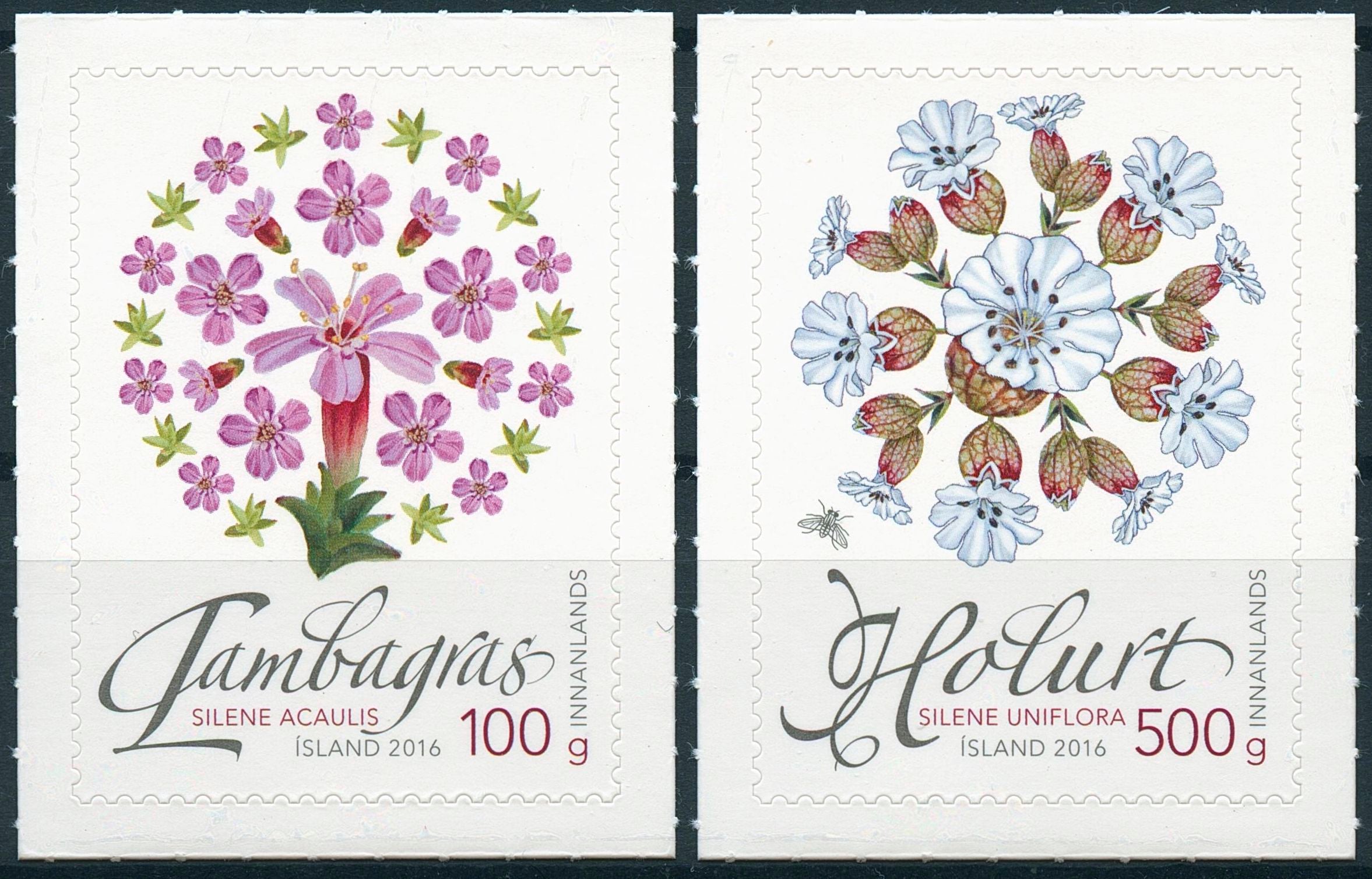 Iceland 2016 MNH Wild Icelandic Vegetation 2v S/A Set Campion Flowers Stamps