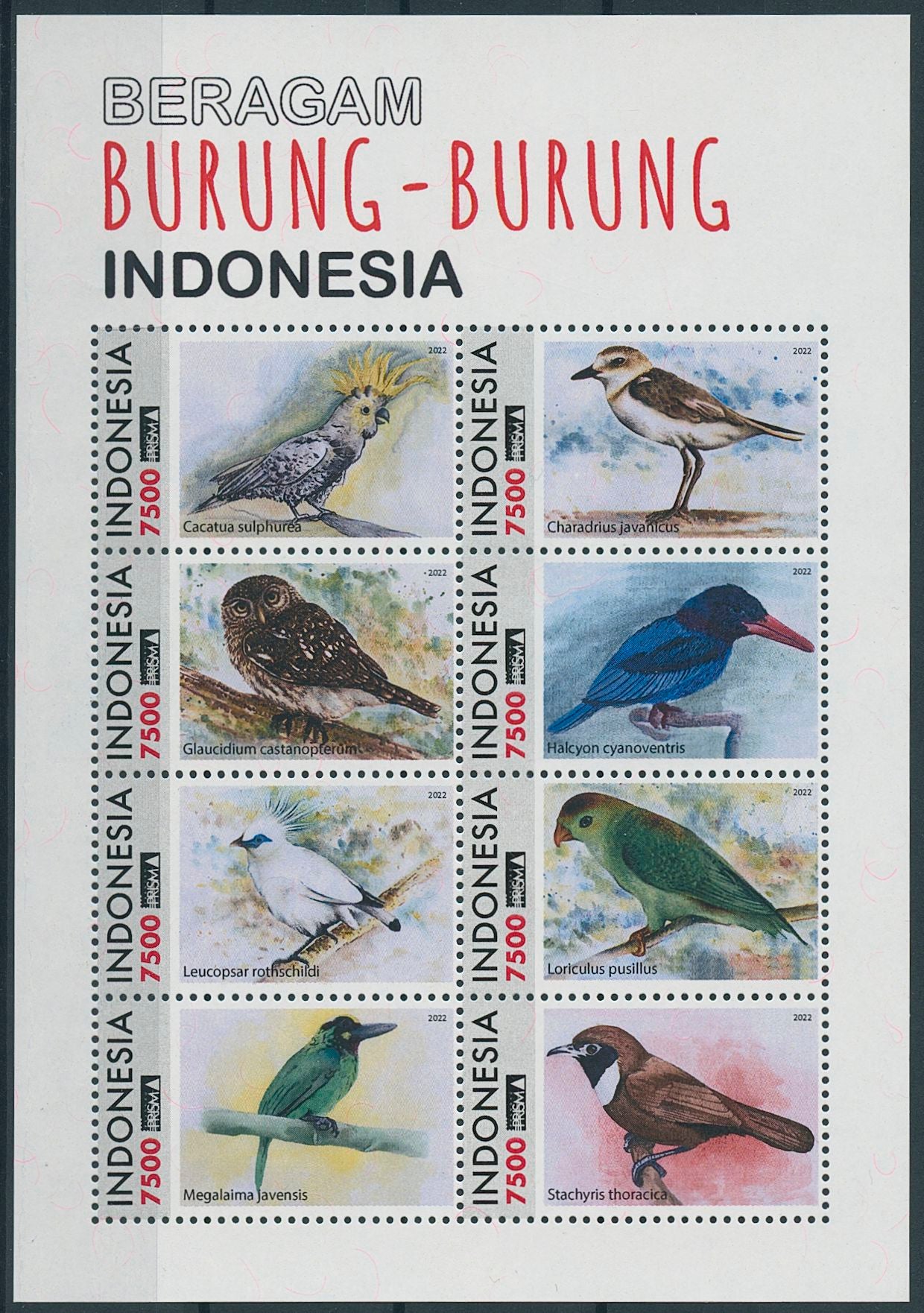 Indonesia 2023 MNH Birds on Stamps Kingfishers Owls Parrots Javan Owlet 8v M/S