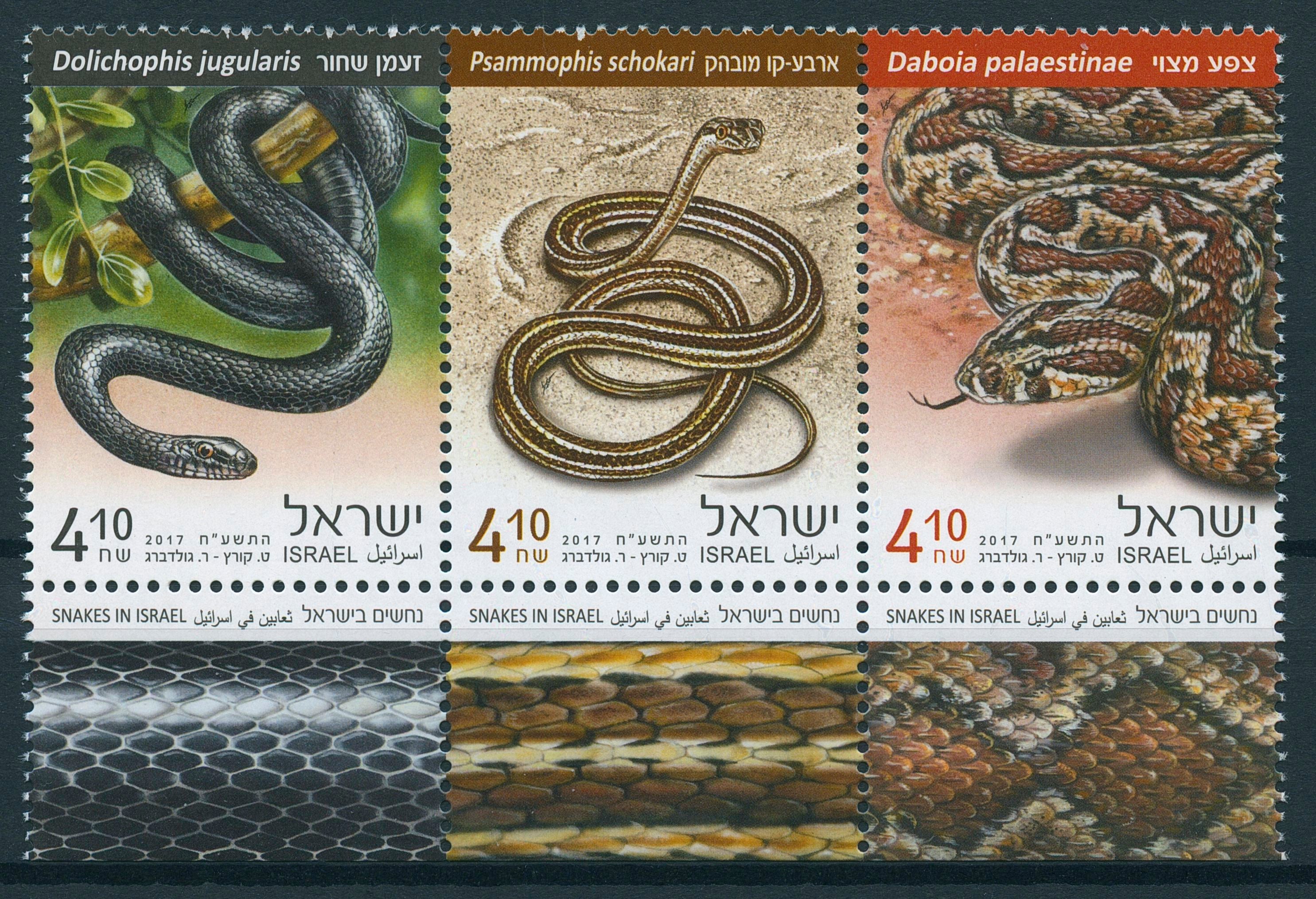 Israel 2017 MNH Snakes Large Whip Snake 3v Set Reptiles Stamps
