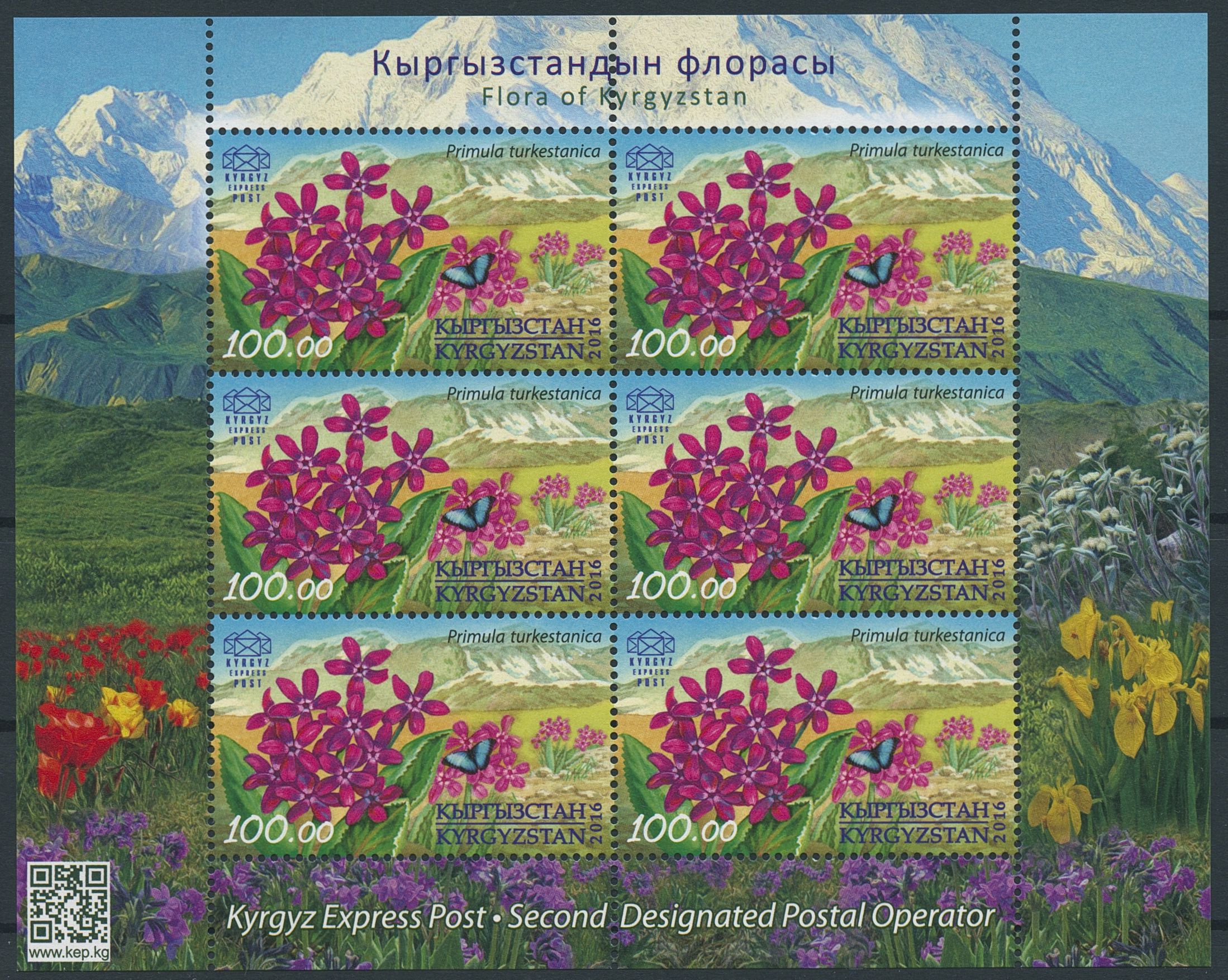 Kyrgyzstan KEP 2016 MNH Flora Turkestan Primula 6v M/S Flowers Stamps