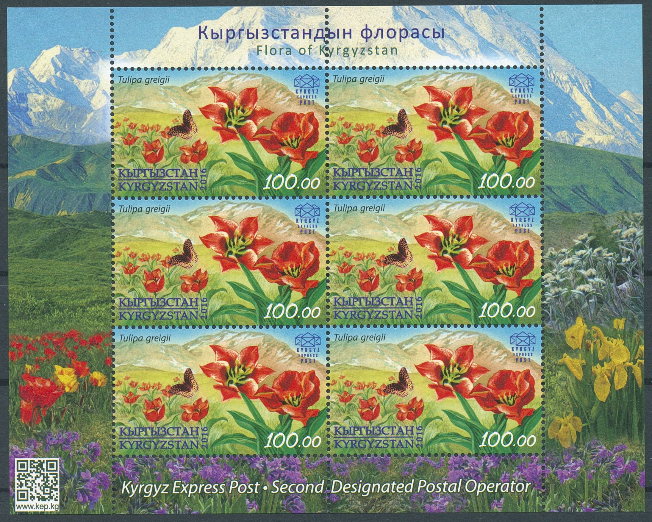 Kyrgyzstan KEP 2016 MNH Flora Greig's Tulip 6v M/S Tulips Flowers Stamps