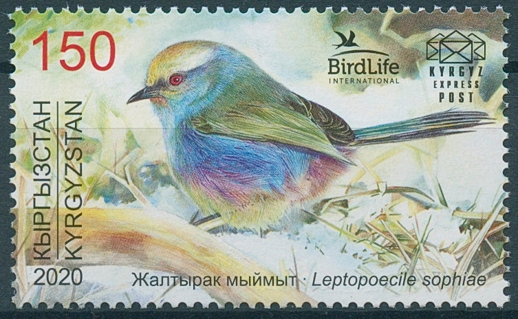 Kyrgyzstan KEP Birds Stamps 2020 MNH White-Browed Tit-Warbler Bird of Yr 1v Set