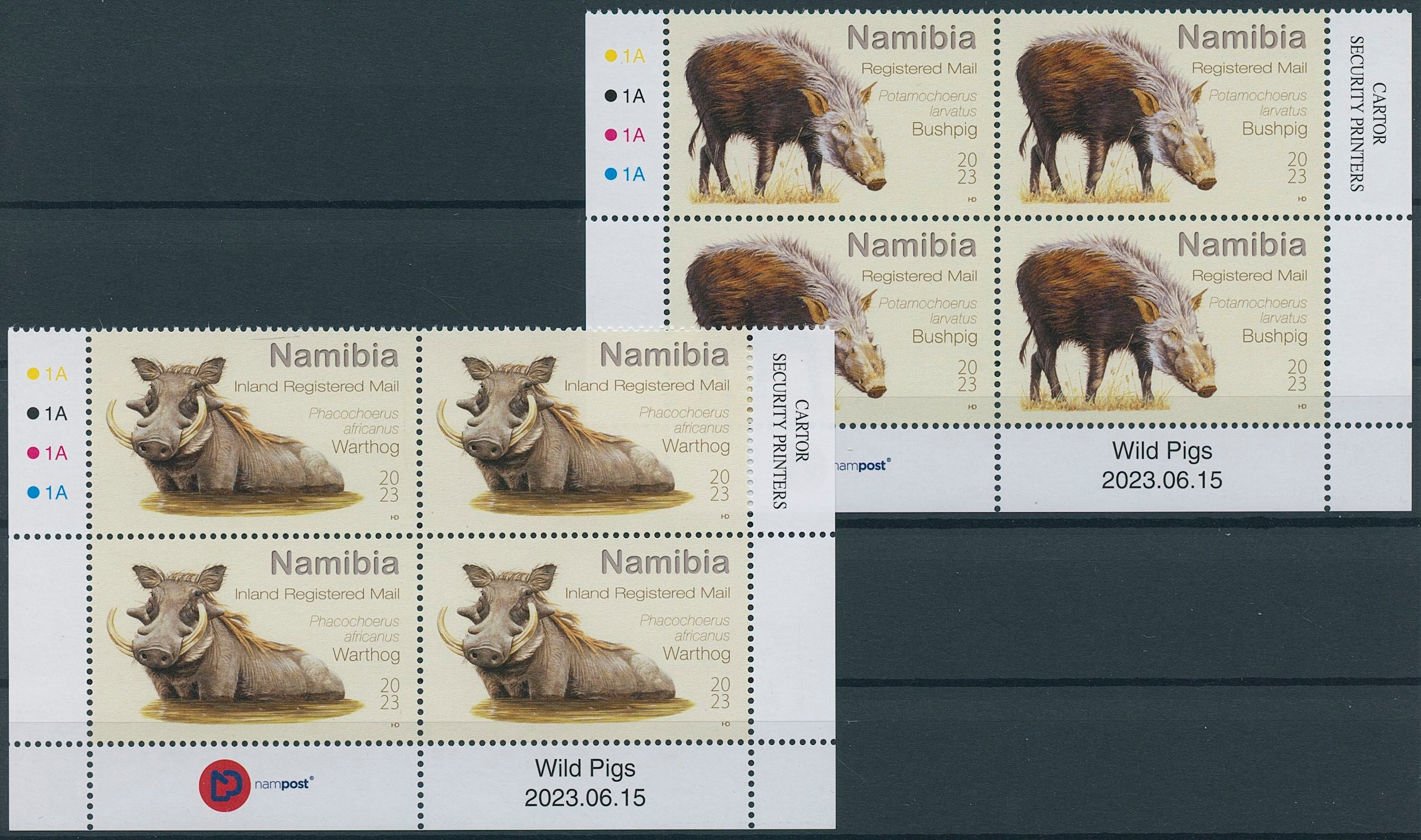 Namibia 2023 MNH Wild Animals Stamps Wild Pigs Warthog Bushpig 2x 4v Control Blocks