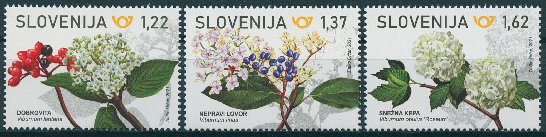 Slovenia Flowers Stamps 2021 MNH Laurustine Wayfaring Snowball Tree 3v set