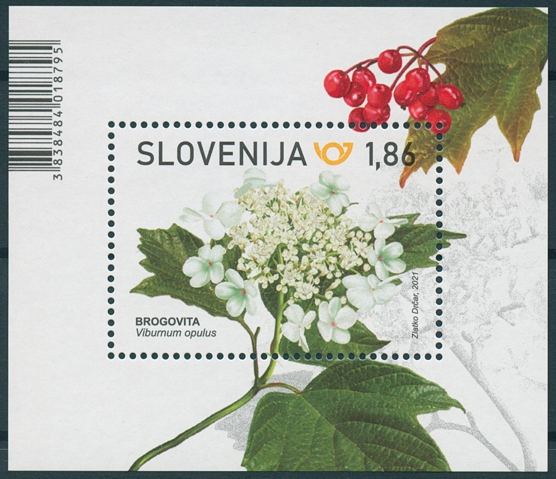 Slovenia Flowers Stamps 2021 MNH Guelder Rose Nature Plants Flora 1v M/S