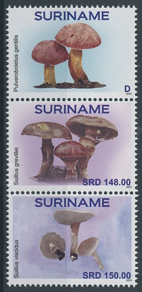 Suriname 2023 MNH Mushrooms Fungi Large Bolete Mushroom 3v Set