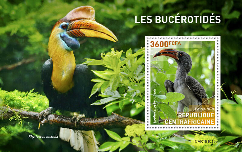 Central African Rep Birds on Stamps 2019 MNH Hornbills Hornbill 1v S/S