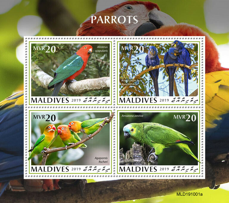 Maldives 2019 MNH Birds on Stamps Parrots Macaws Amazons Lovebirds 4v M/S