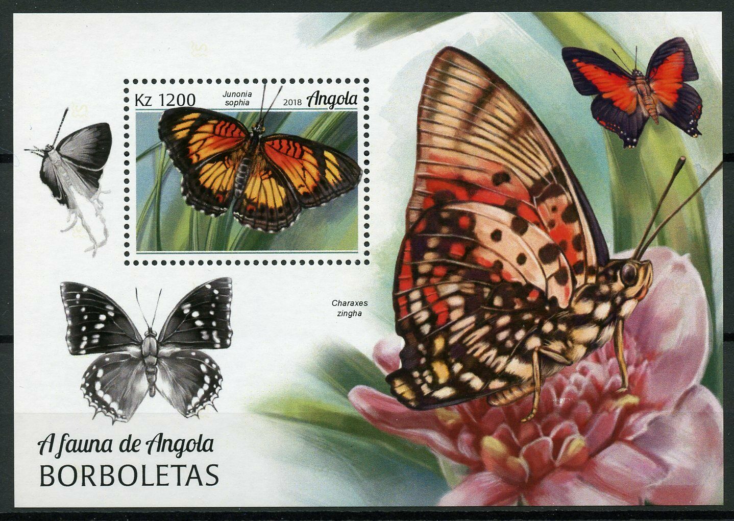Angola Butterflies Stamps 2018 MNH Charaxes Junonia Butterfly Insects 1v M/S