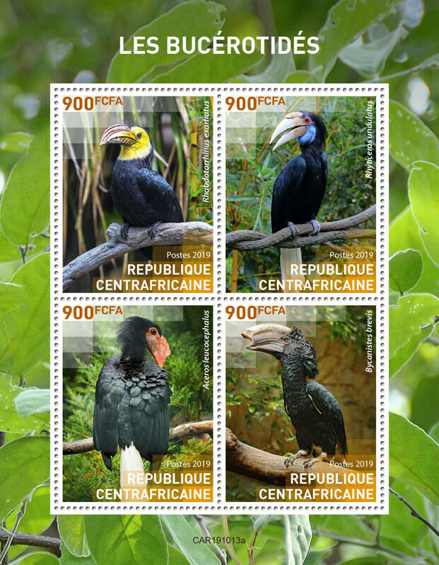 Central African Rep 2019 MNH Birds on Stamps Hornbills Hornbill 4v M/S