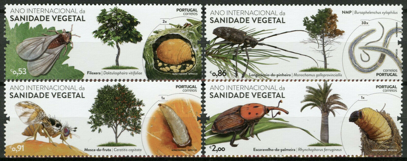 Portugal Trees Stamps 2020 MNH Intl Year of Plant Health Insects Bugs 4v Set
