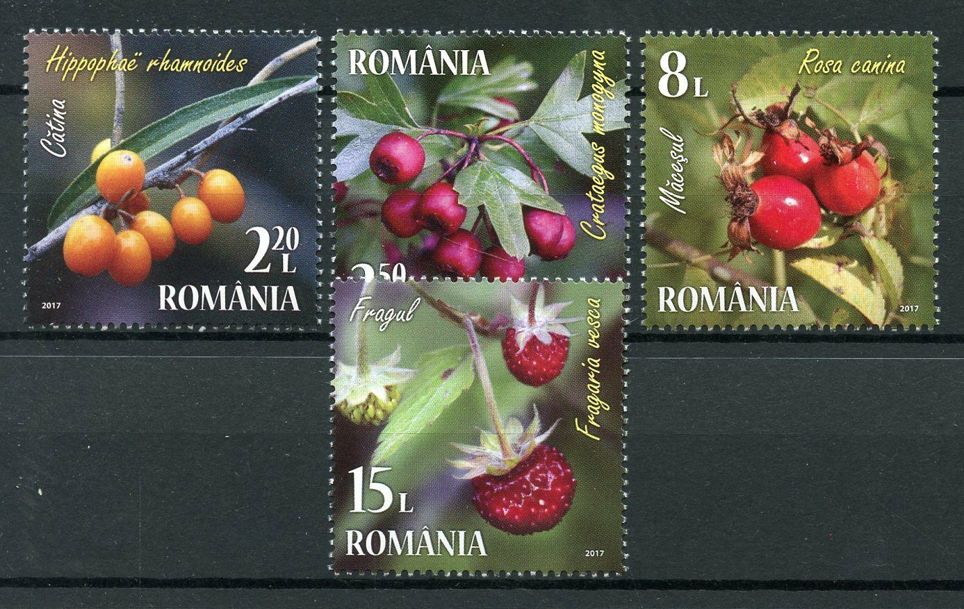 Romania 2017 MNH Berries 4v Set Plants Nature Stamps