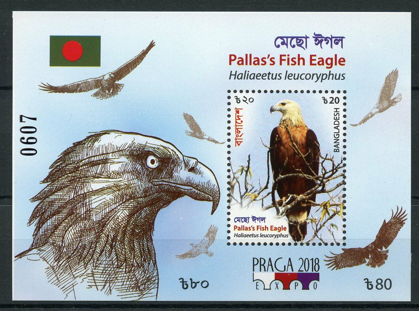 Bangladesh 2018 MNH Pallas's Fish Eagle 1v IMPF M/S Eagles Birds of Prey Stamps
