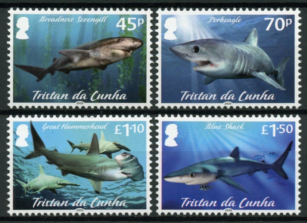 Tristan da Cunha 2020 MNH Marine Animals Stamps Sharks Great Hammerhead 4v Set