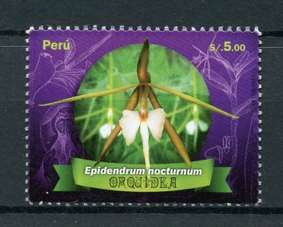 Peru 2017 MNH Orchid Epidendrum nocturnum 1v Set Orchids Flowers Stamps