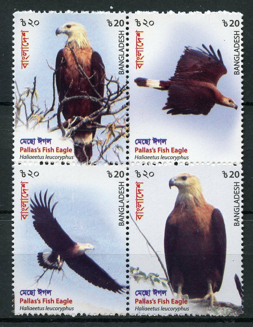 Bangladesh 2018 MNH Pallas's Fish Eagle 4v Block Eagles Birds of Prey Stamps