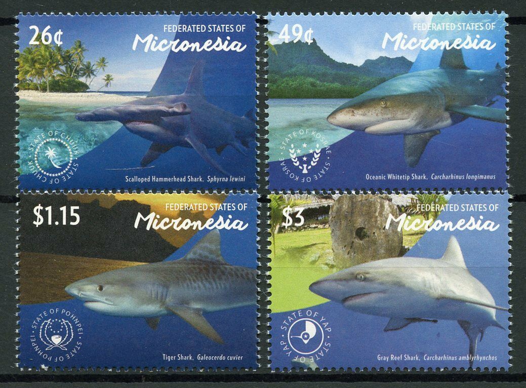 Micronesia Sharks Stamps 2015 MNH Hammerhead Reef Shark Marine Animals 4v Set