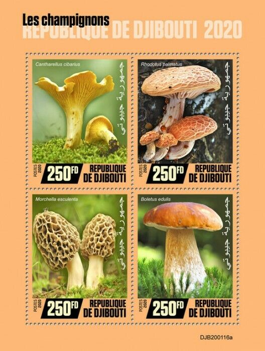 Djibouti Mushrooms Stamps 2020 MNH Boletus Cantherelle Mushroom Fungi 4v M/S