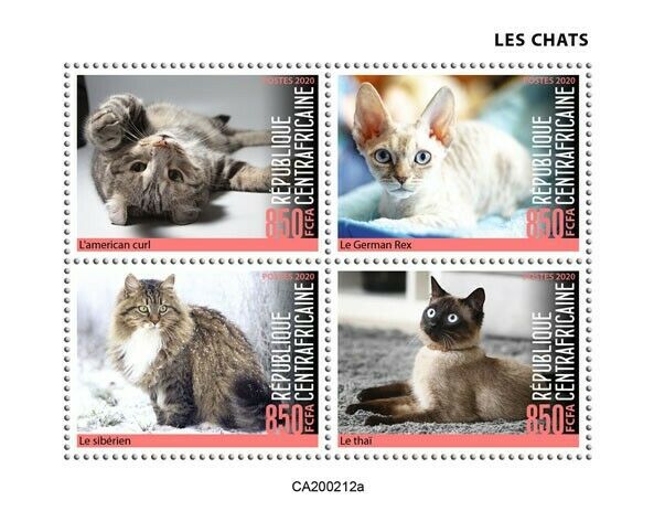 Central African Rep 2020 MNH Cats Stamps Americal Curl Siberian Thai Cat 4v M/S