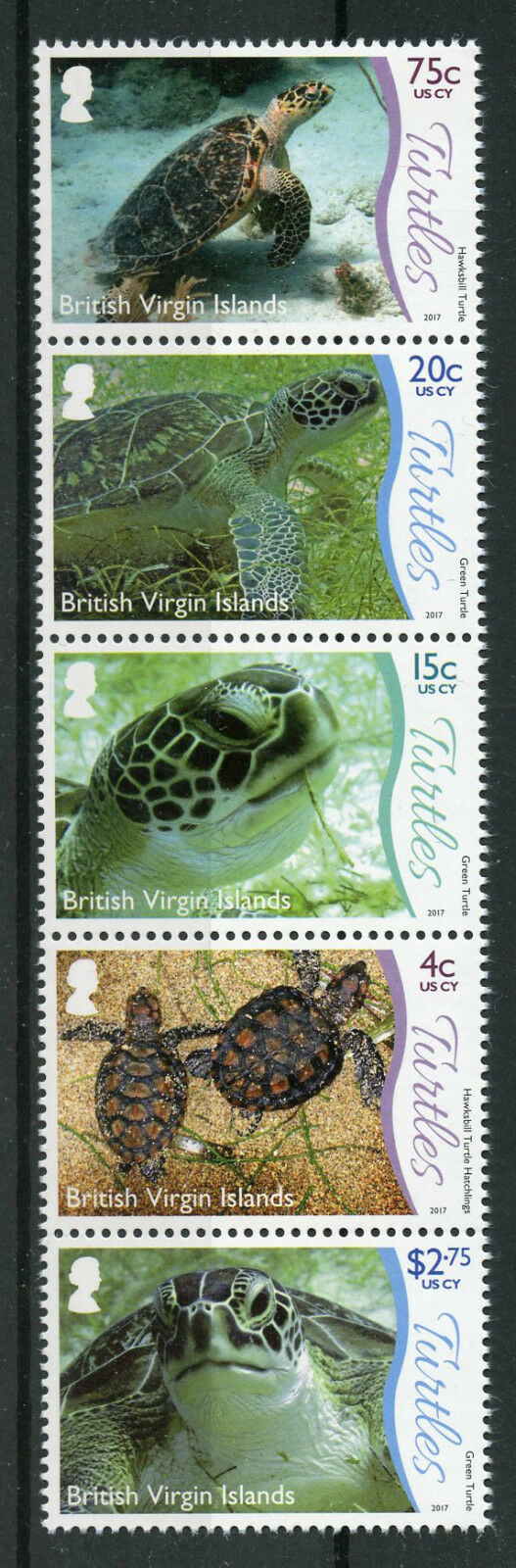 BVI 2017 MNH Turtles Stamps Underwater Life Pt 1 Reptiles 5v Strip