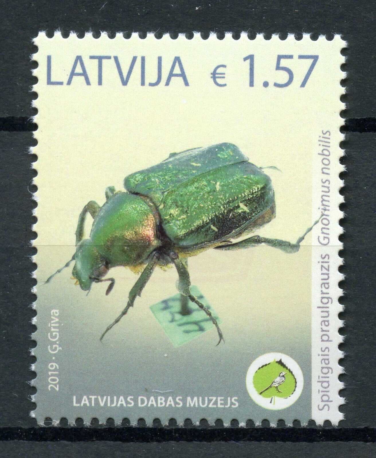 Latvia 2019 MNH Noble Chafer Museum Exhibits 1v Set Beetles Insects Stamps