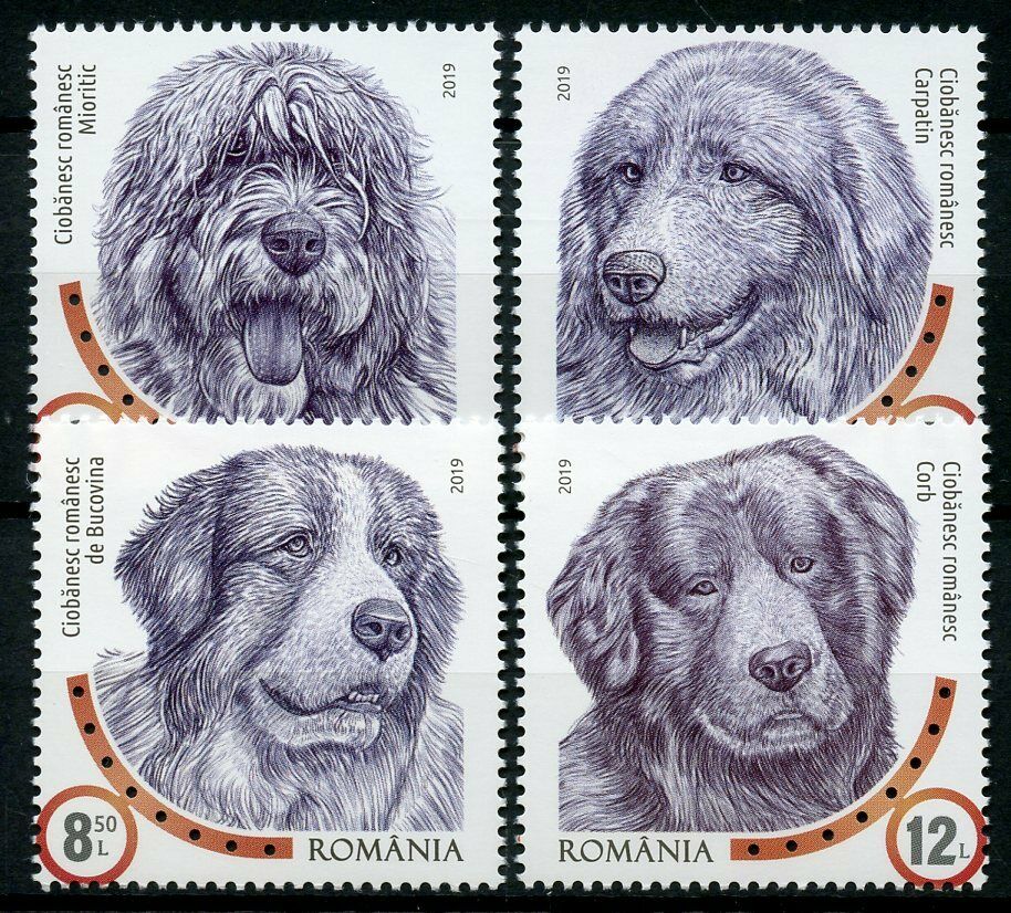 Romania 2019 MNH Dog Breeds Romanian Shepherd Dogs 4v Set Pets Animals Stamps