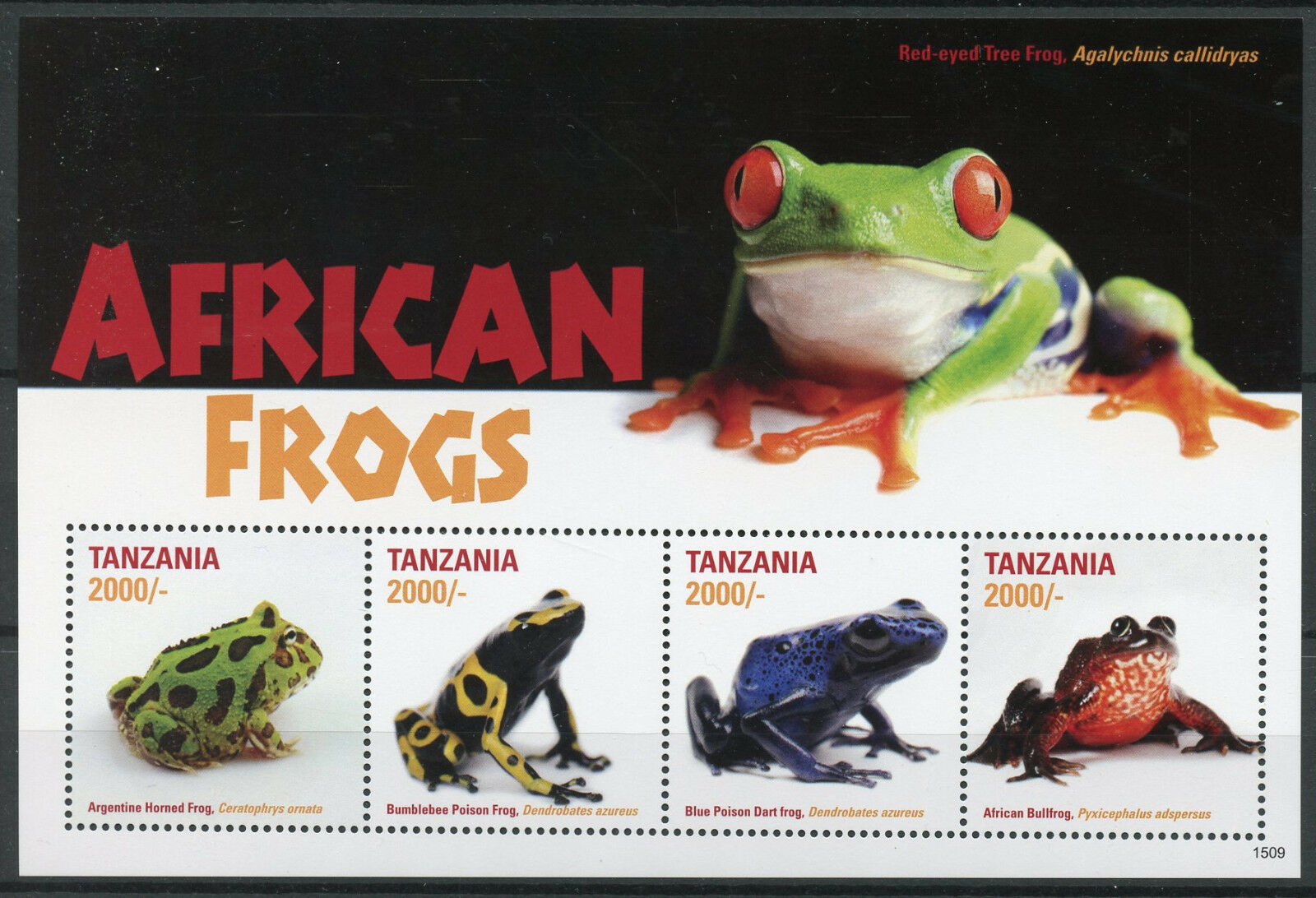 Tanzania 2015 MNH Amphibians Stamps African Frogs Poison Dart Frog 4v M/S II