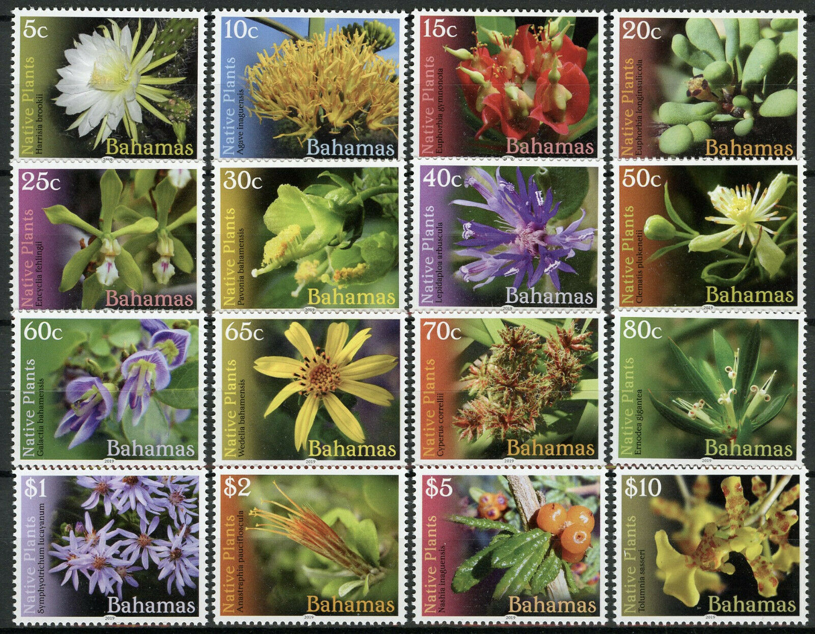 Bahamas 2019 MNH Nature Stamps Native Plants Flowers Definitives Flora 16v Set