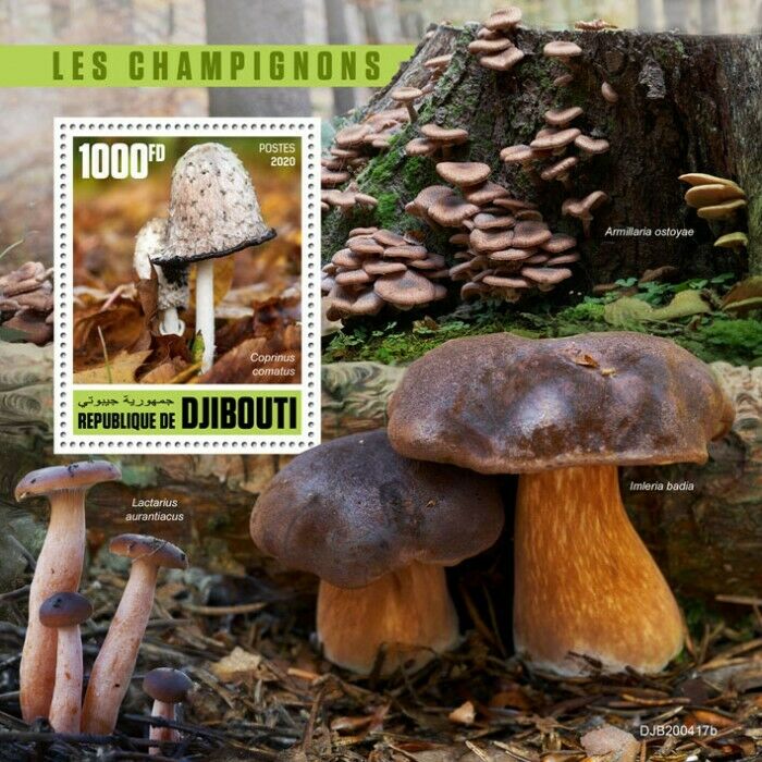 Djibouti Mushrooms Stamps 2020 MNH Fungi Coprinus Lactarius Nature 1v S/S