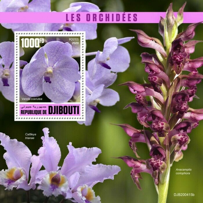 Djibouti Orchids Stamps 2020 MNH Orchid Vanda Cattleya Flowers Nature 1v S/S