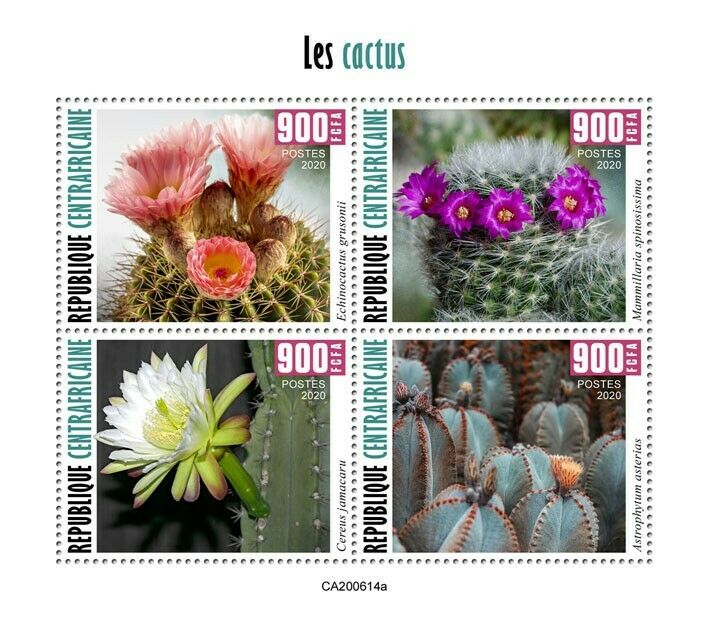 Central African Rep Plants Stamps 2020 MNH Cactus Flowers Nature 4v M/S