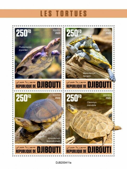 Djibouti Turtles Stamps 2020 MNH Arrau Wood Turtle Reptiles Fauna 4v M/S