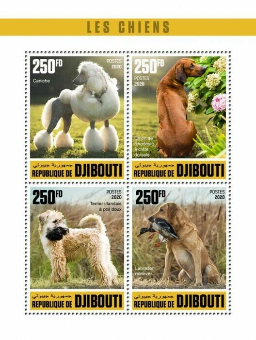 Djibouti Dogs Stamps 2020 MNH Poodle Labrador Retriever Dog Pets 4v M/S