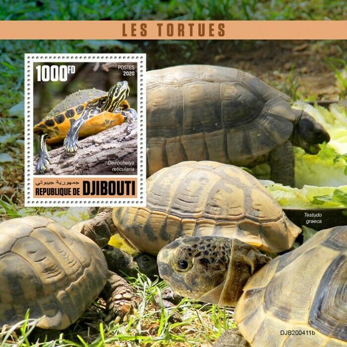 Djibouti Turtles Stamps 2020 MNH Chicken Turtle Reptiles Fauna 1v S/S