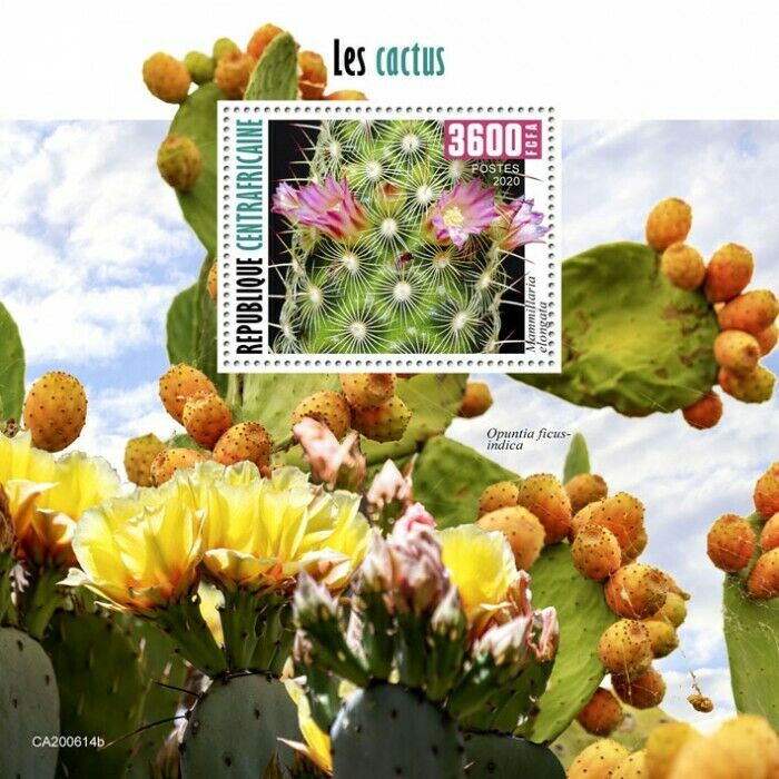 Central African Rep Plants Stamps 2020 MNH Cactus Flowers Nature 1v S/S