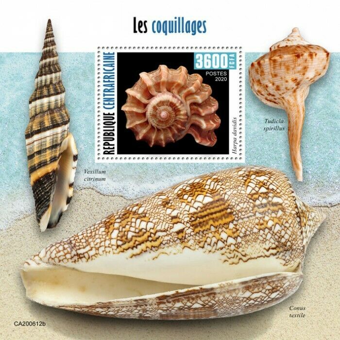 Central African Rep Seashells Stamps 2020 MNH Sea Shells Harpa Marine 1v S/S