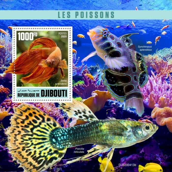 Djibouti Fish Stamps 2020 MNH Fishes Siamese Fighting Fish Mandarinfish 1v S/S
