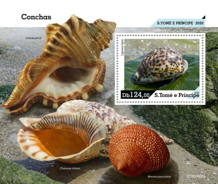 Sao Tome & Principe Seashells Stamps 2020 MNH Sea Shells Cypraea Marine 1v S/S