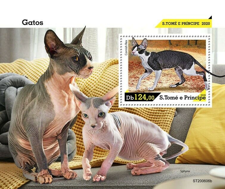 Sao Tome & Principe 2020 MNH Cats Stamps Cornish Rex Sphynx Cat Pets 1v S/S