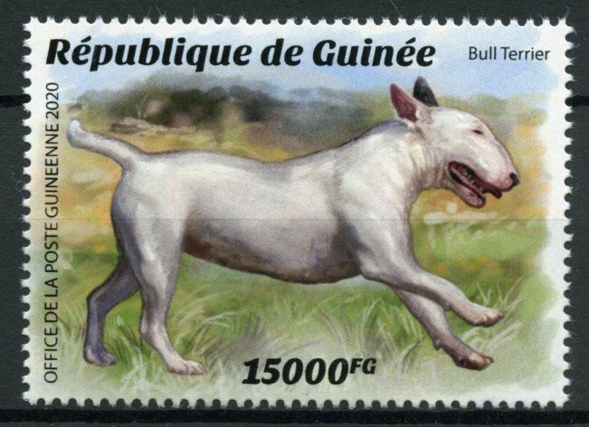 Guinea Dogs Stamps 2020 MNH Bull Terrier Dog Breeds Domestic Animals 1v Set