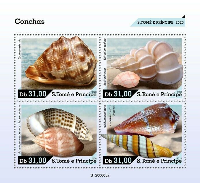 Sao Tome & Principe 2020 MNH Seashells Stamps Sea Shells Conus Marine 4v M/S
