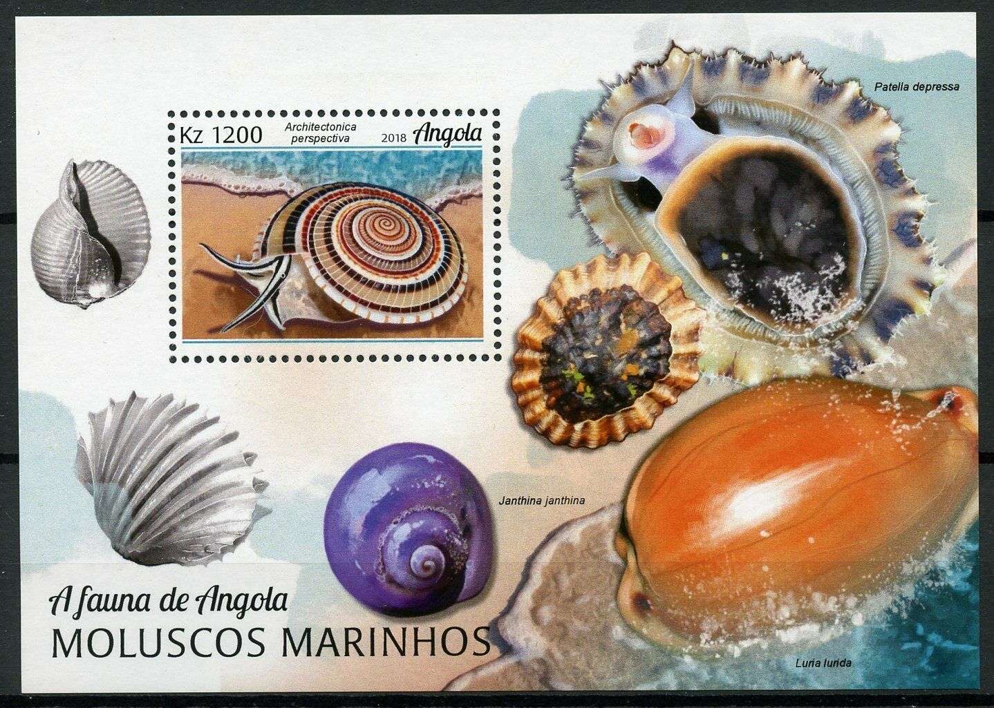 Angola Seashells Stamps 2018 MNH Marine Molluscs Sea Shells 1v M/S