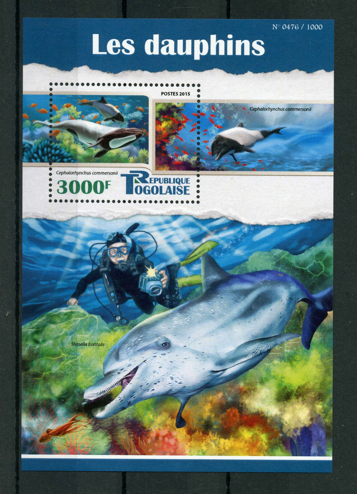Togo 2015 MNH Dolphins 1v S/S Marine Animals Commerson's Dolphin