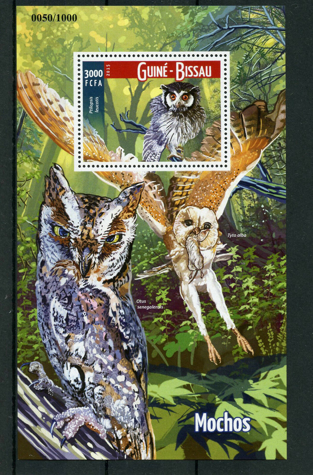 Guinea-Bissau 2015 MNH Owls 1v S/S Birds of Prey Northern White-Faced Owl
