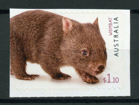 Australia Wild Animals Stamps 2019 MNH Fauna Part II Wombats Wombat 1v S/A Set
